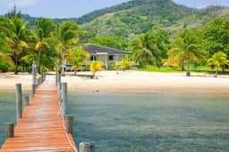 Dream Beach Home! Snorkel reef off 400' dock! - Image 3