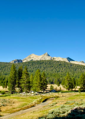 Sonora Pass alpine meadow with granite peaks
