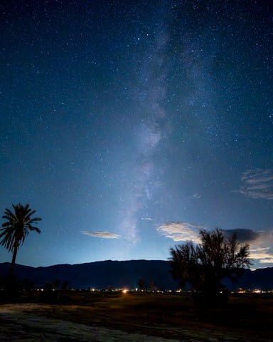 Desert night sky with milky way and palm trees