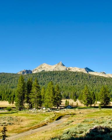 Sonora Pass alpine meadow granite peaks summer