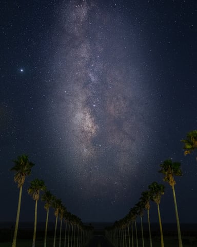 Milky way over palm tree road at night