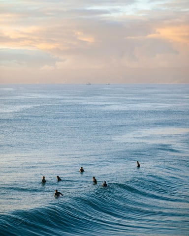 Surfers in the ocean at dawn California coast