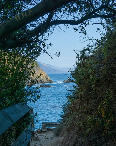 Laguna Beach cliff path overlooking cove at sunrise