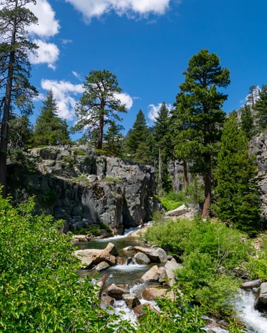 Eagle Falls trail granite rocks pine trees blue sky