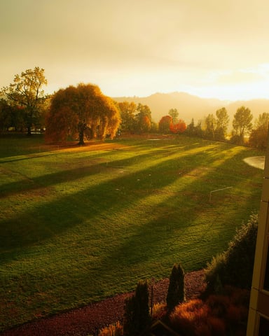 Golf course at golden hour