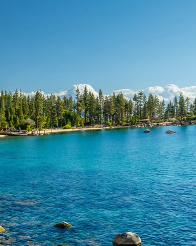 Lake Tahoe north shore pine trees blue water morning