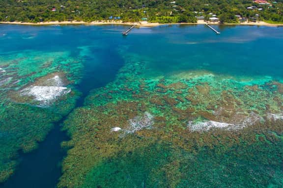 Sunnyside Bungalow 1 · Best snorkeling/diving on island 70yds off dock - Image 5