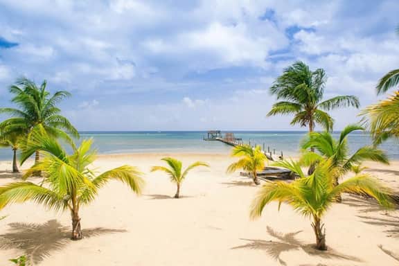 Dream Beach Home! Snorkel reef off 400' dock! - Image 2