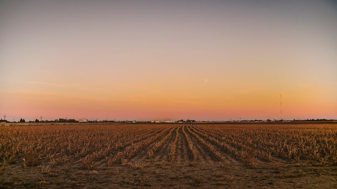 Lubbock Tx