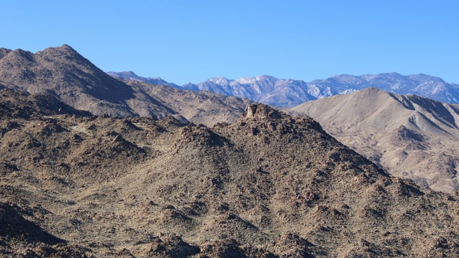 Palm Desert